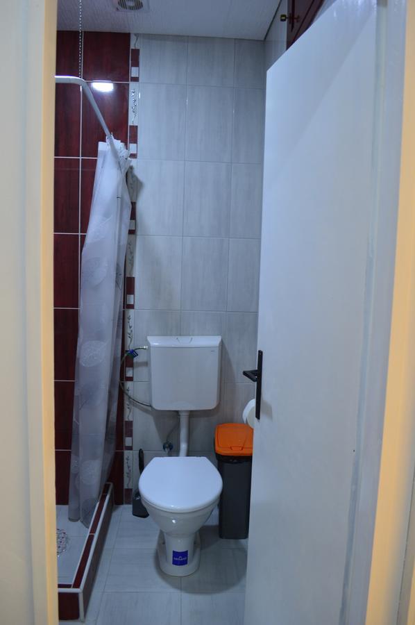 Apartman Linera Сокобаня Екстер'єр фото